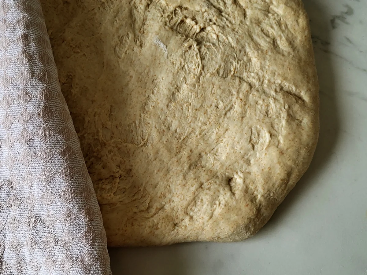 Türkisches Fladenbrot (Ramazan pidesi) - Rezept - Bild Nr. 17259