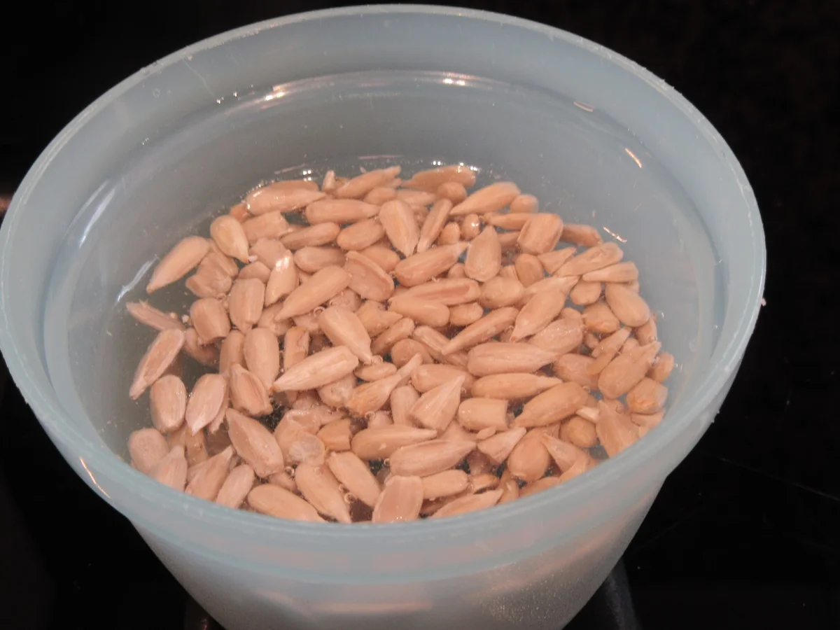 Suppen: Anti-Virus-Suppe - Rezept - Bild Nr. 17263