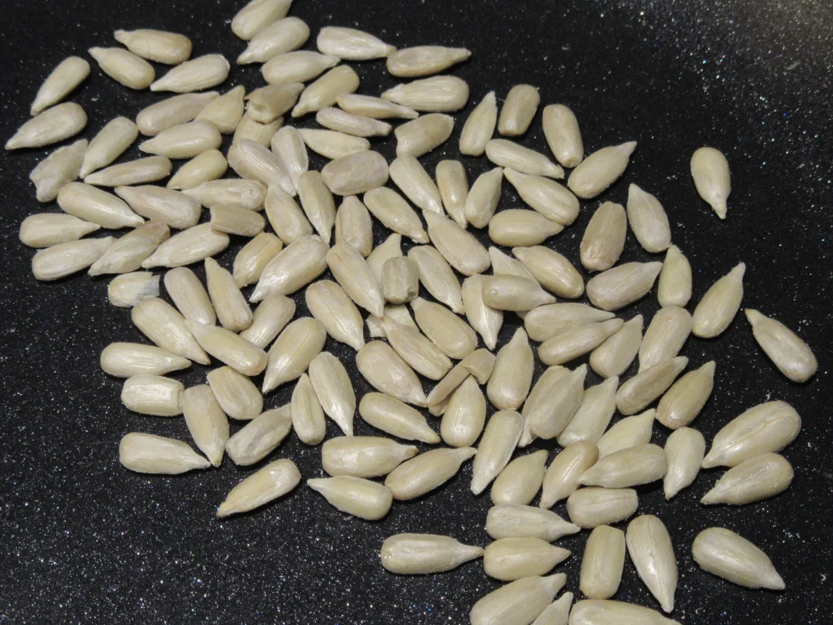 Suppen: Anti-Virus-Suppe - Rezept - Bild Nr. 17266