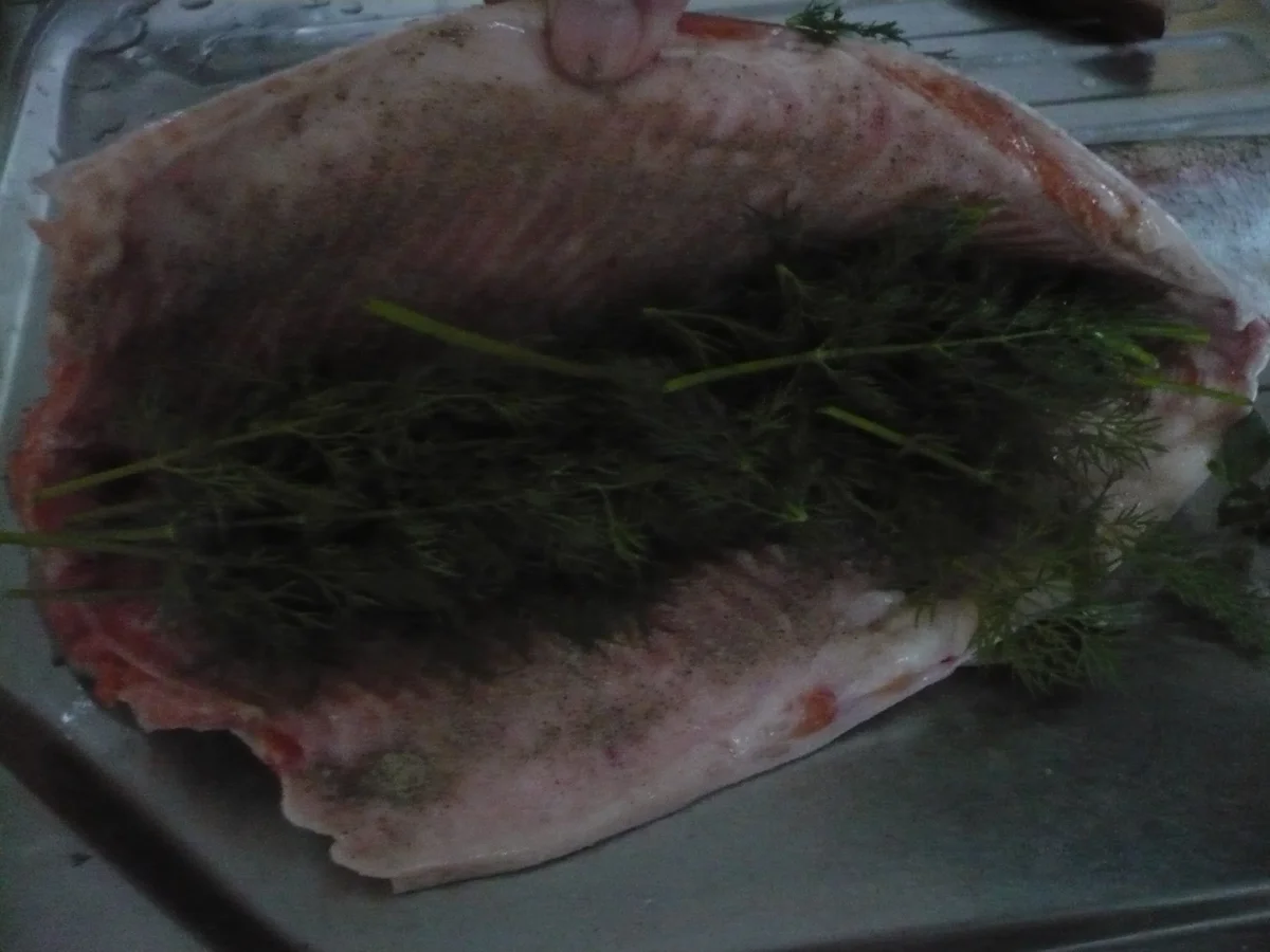 Lachs in Salzkruste - Rezept - Bild Nr. 17263