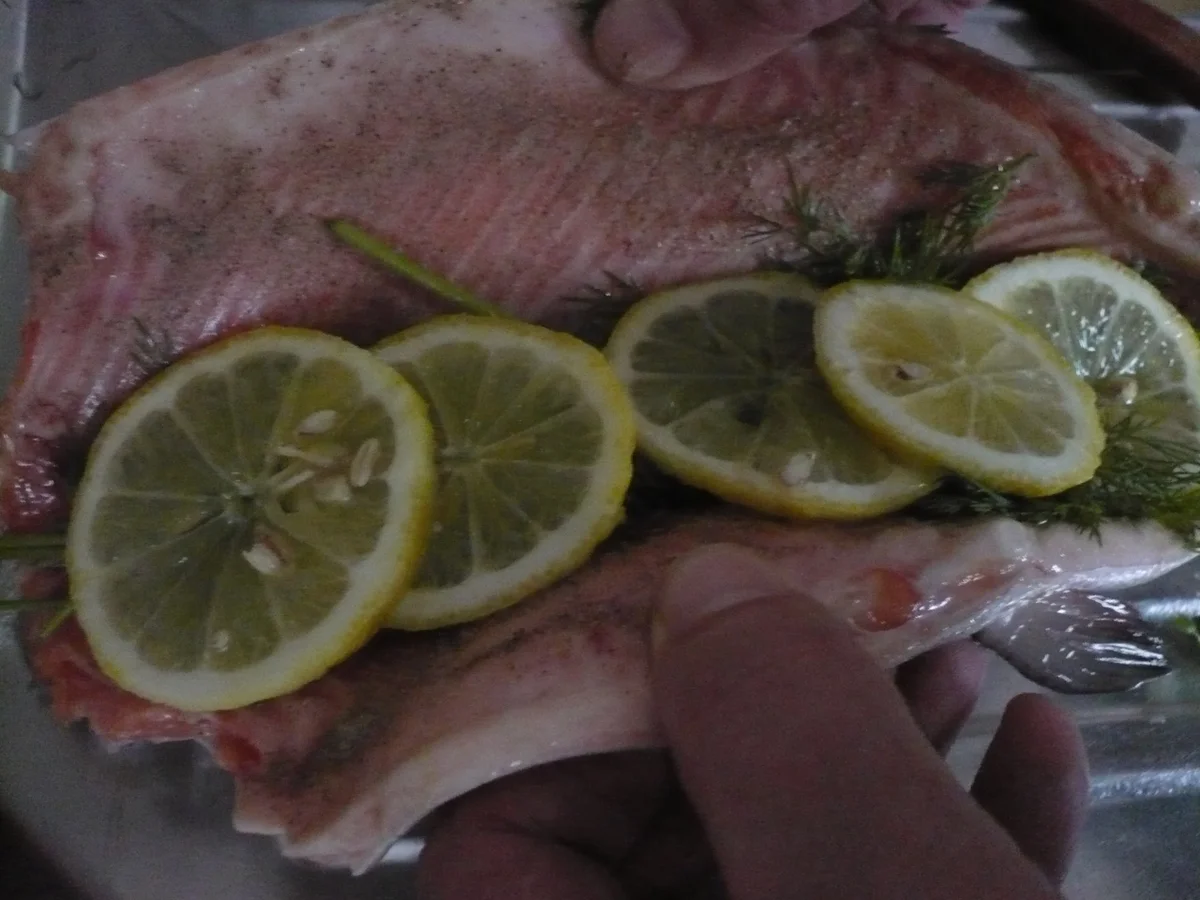 Lachs in Salzkruste - Rezept - Bild Nr. 17264