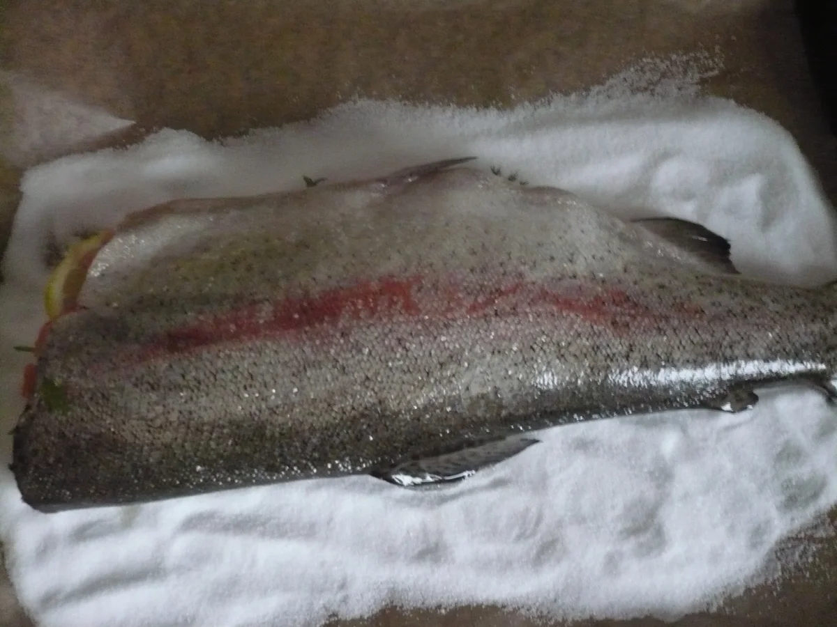 Lachs in Salzkruste - Rezept - Bild Nr. 17265