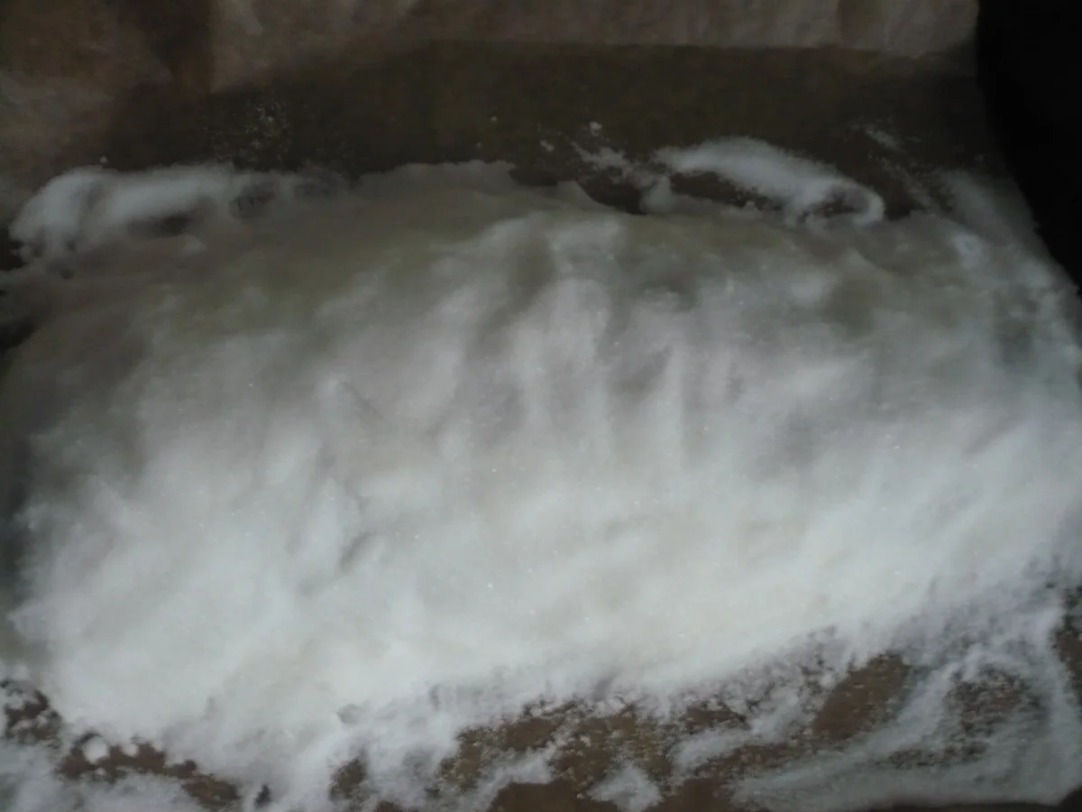 Lachs in Salzkruste - Rezept - Bild Nr. 17266