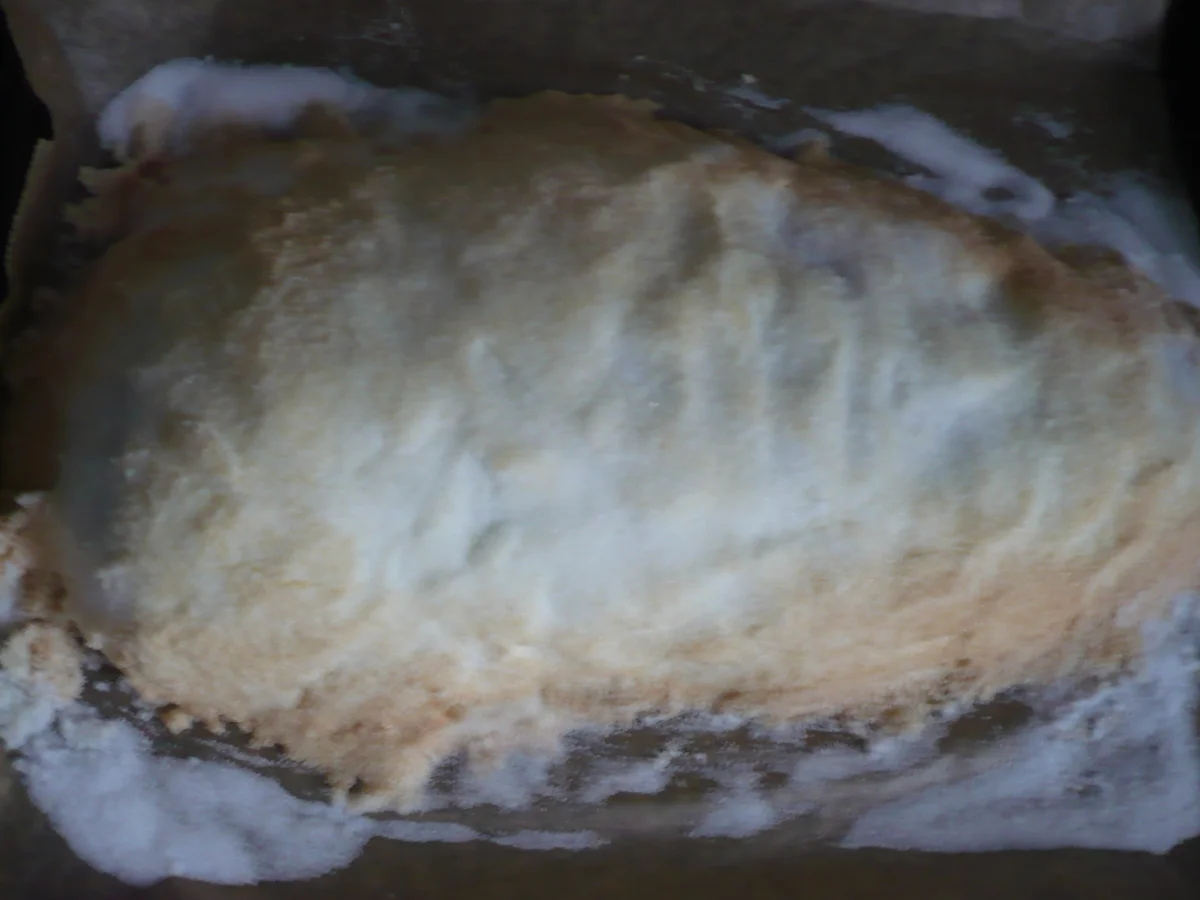 Lachs in Salzkruste - Rezept - Bild Nr. 17267