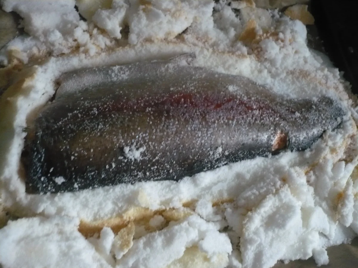 Lachs in Salzkruste - Rezept - Bild Nr. 17269