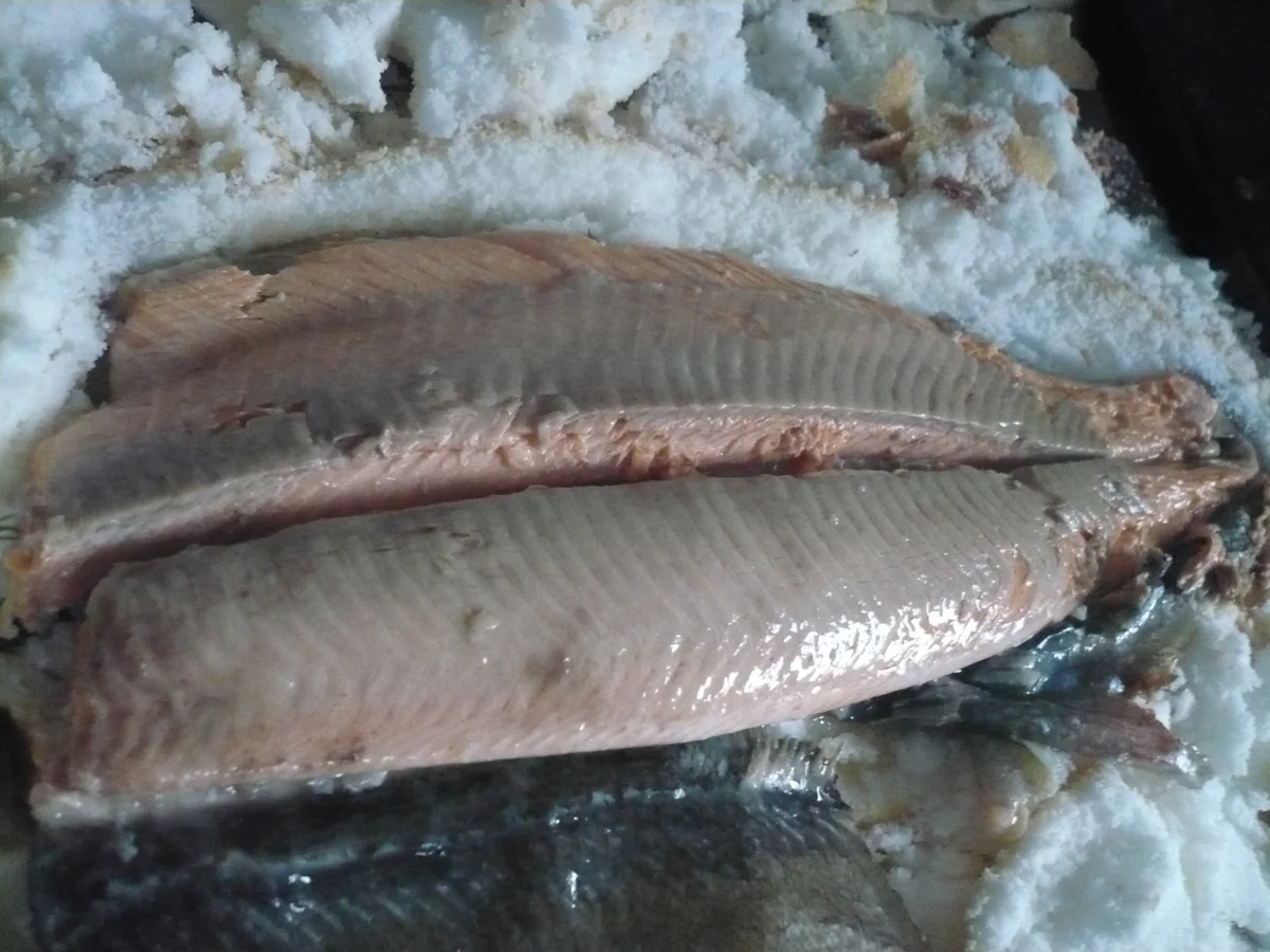 Lachs in Salzkruste - Rezept - Bild Nr. 17270