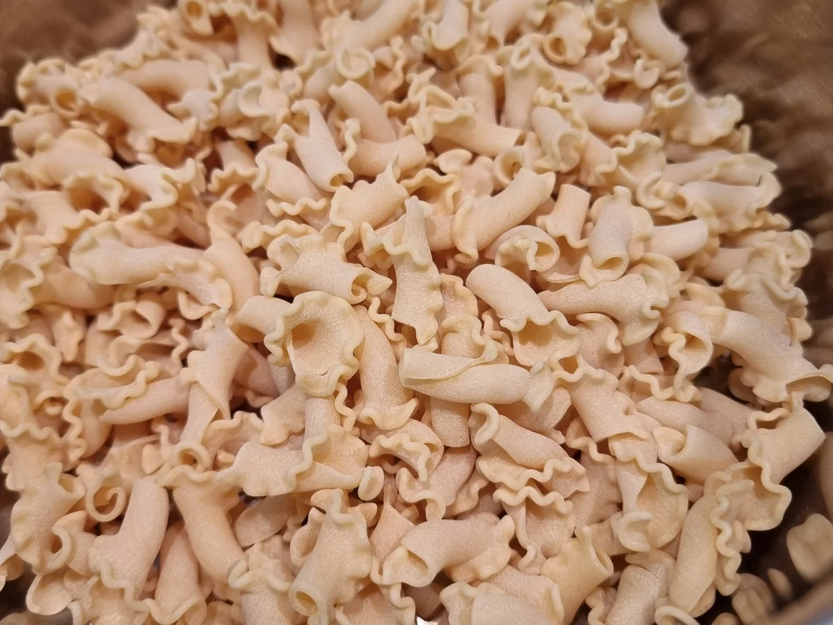 Nudel-Gemüse-Auflauf - Rezept - Bild Nr. 17269