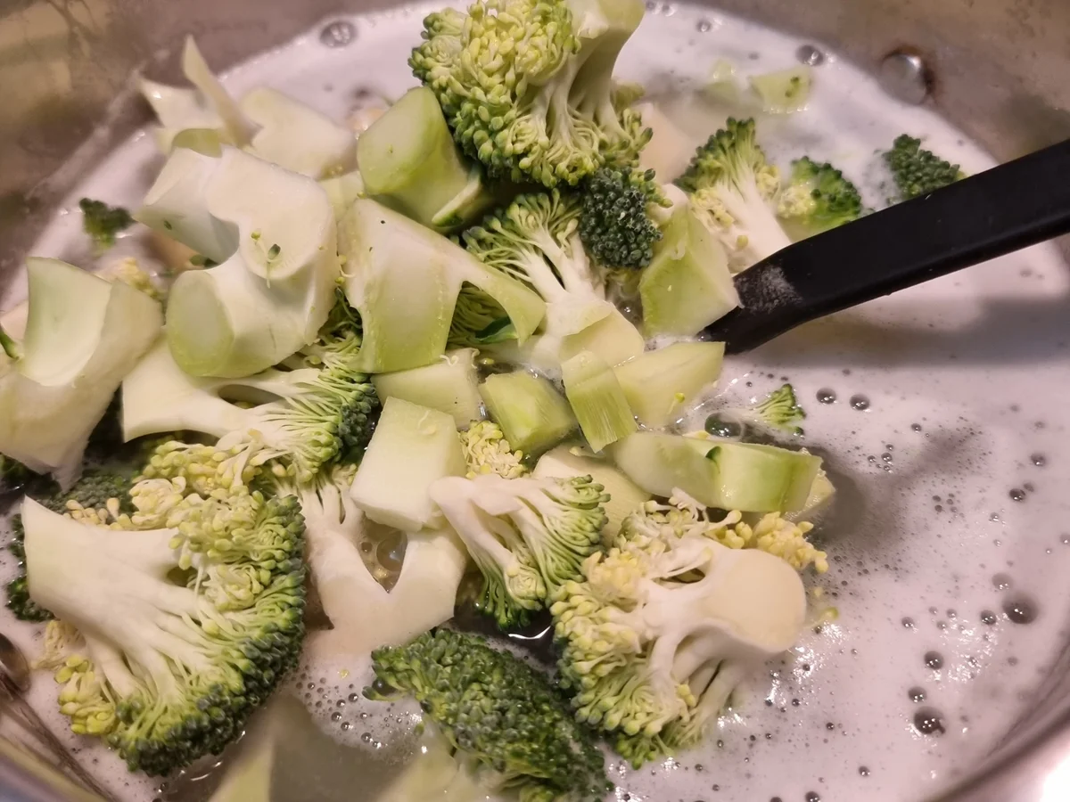 Nudel-Gemüse-Auflauf - Rezept - Bild Nr. 17272