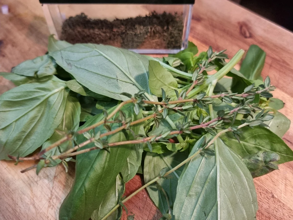 Vegane Tomatencremesuppe - Rezept - Bild Nr. 17268