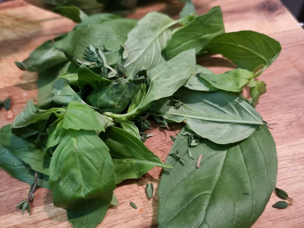 Vegane Tomatencremesuppe - Rezept - Bild Nr. 17269