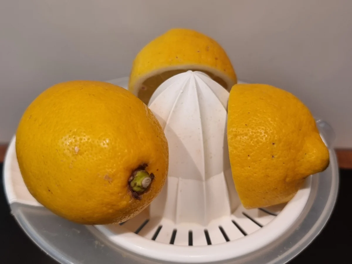 Rezept: Mini-Zitronen-Gugelhupf und Muffin Bild Nr. 17271 Mini-Zitronen-Gugelhupf und Muffin - Rezept - Bild Nr. 17271