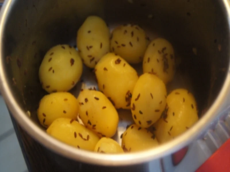 Rezept: Pellkartoffeln mit Kümmel, Räucherlachs und Zaziki Bild Nr. 4 Pellkartoffeln mit Kümmel, Räucherlachs und Zaziki - Rezept - Bild Nr. 4