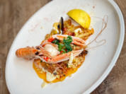 Paella Malagua - Paella mit Meeresfrüchten (Semino Rossi) - Rezept - Bild Nr. 17270