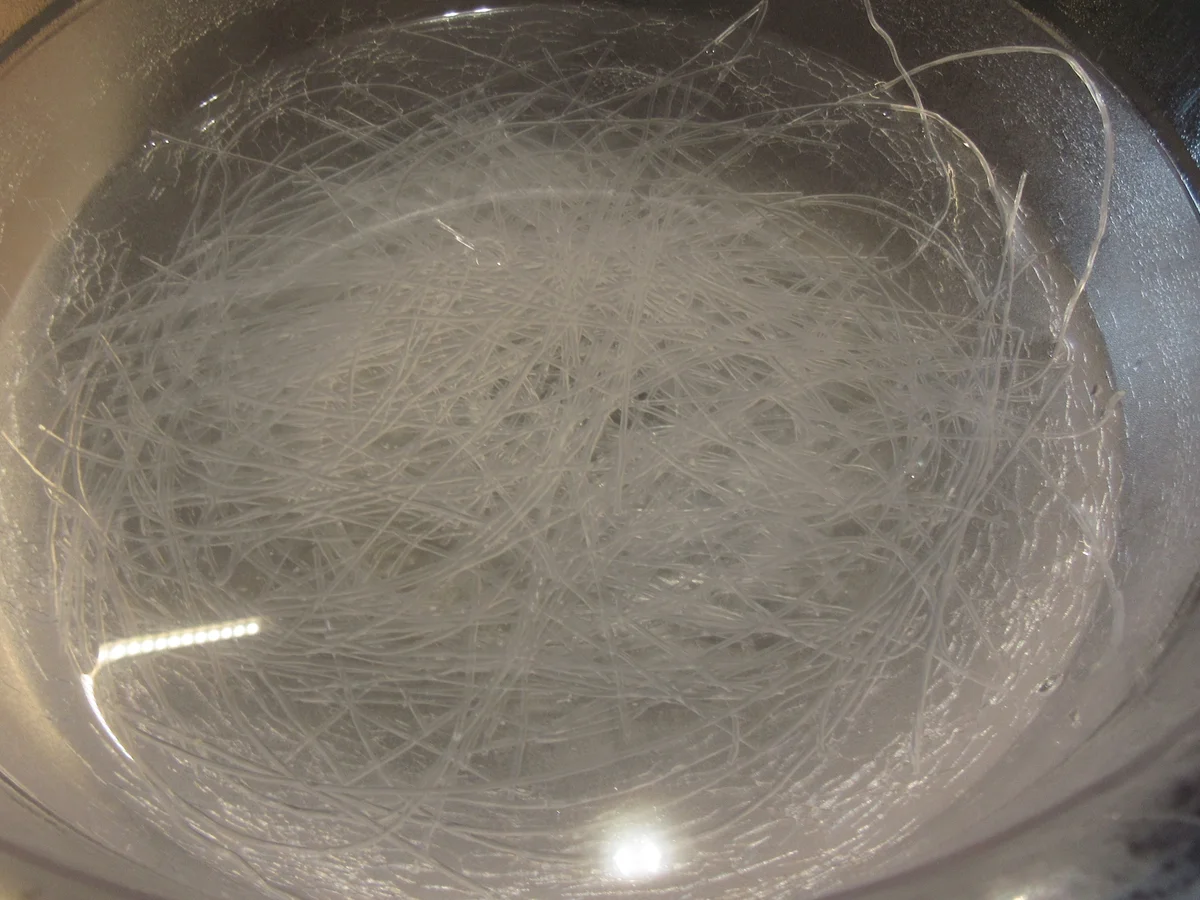 Salate: Tintenfisch-Salat - Rezept - Bild Nr. 17272