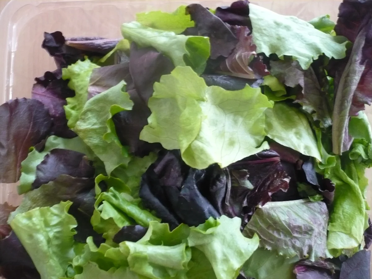 Rezept: Salat mit Hähnchenbrustfilet Bild Nr. 17280 Salat mit Hähnchenbrustfilet - Rezept - Bild Nr. 17280