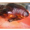 Peking-Ente 2025 - Rezept - Bild Nr. 2