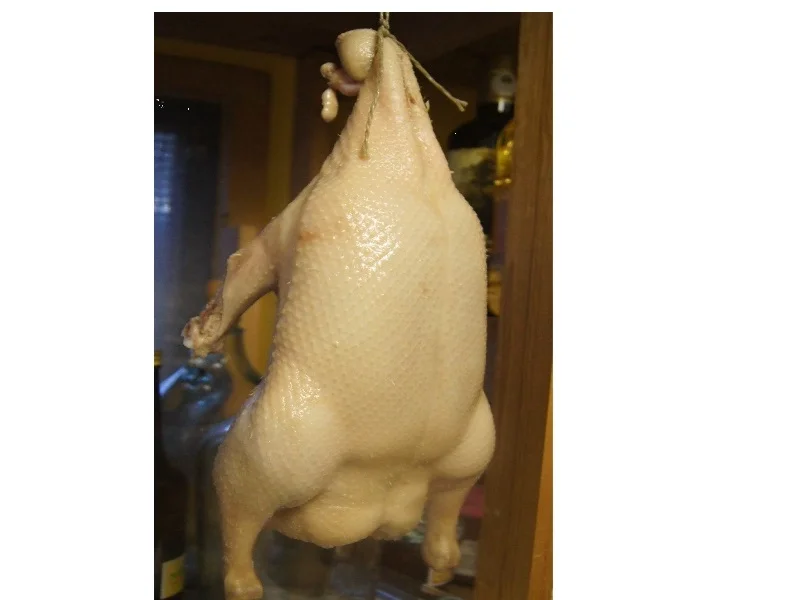 Rezept: Peking-Ente 2025 Bild Nr. 5 Peking-Ente 2025 - Rezept - Bild Nr. 5