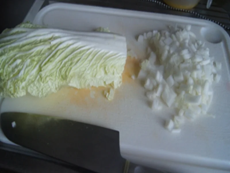 Suppe mit Peking-Ente - Rezept - Bild Nr. 17298