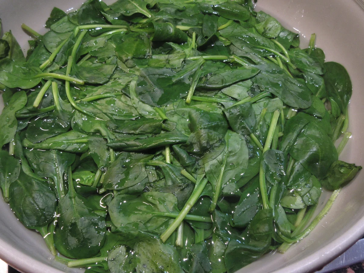 Pasta: Lasagne mit Hecht und Spinat - Rezept - Bild Nr. 17315