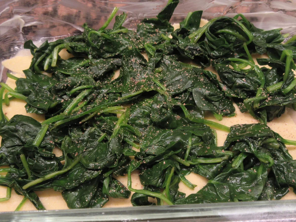 Pasta: Lasagne mit Hecht und Spinat - Rezept - Bild Nr. 17317