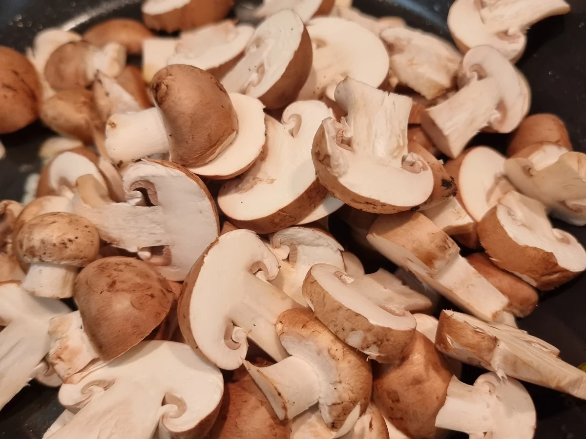 Rezept: Kräuter-Hackbraten mit Champignon-Rahmsauce Bild Nr. 17318 Kräuter-Hackbraten mit Champignon-Rahmsauce - Rezept - Bild Nr. 17318