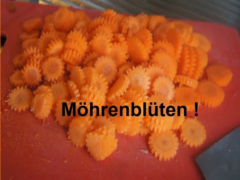 Rezept: Gemüsesuppe mit Gänsebrühe Bild Nr. 5 Gemüsesuppe mit Gänsebrühe - Rezept - Bild Nr. 5