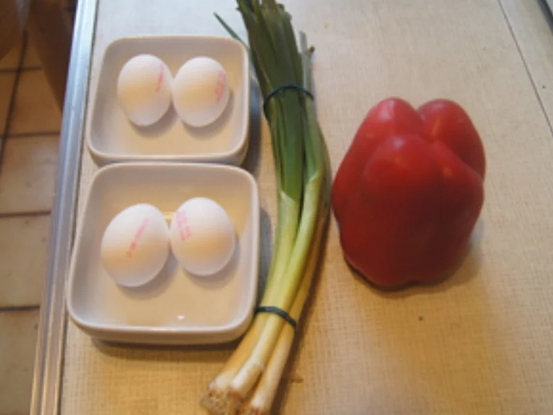 Paprika-Frühlingszwiebel-Lachs-Omelett - Rezept - Bild Nr. 17313