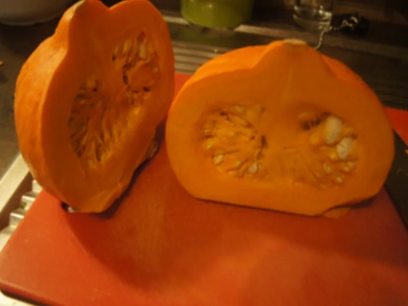 Möhren-Kürbis-Curry mit Basmatireis - Rezept - Bild Nr. 17313