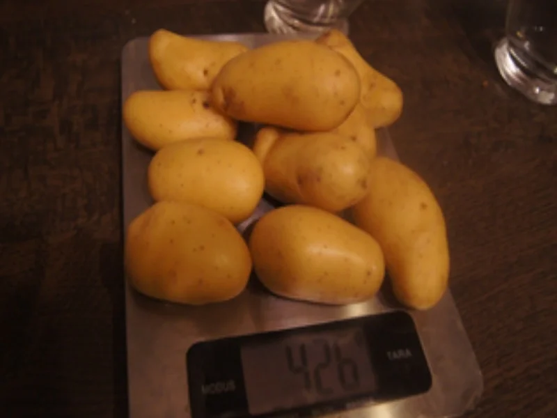 Rezept: Kartoffelsalat mit Wachteleiern Bild Nr. 17312 Kartoffelsalat mit Wachteleiern - Rezept - Bild Nr. 17312