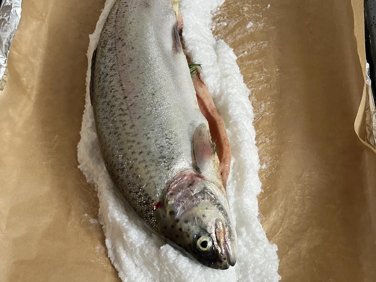 Lachsforelle in der Salzkruste - Rezept - Bild Nr. 17318