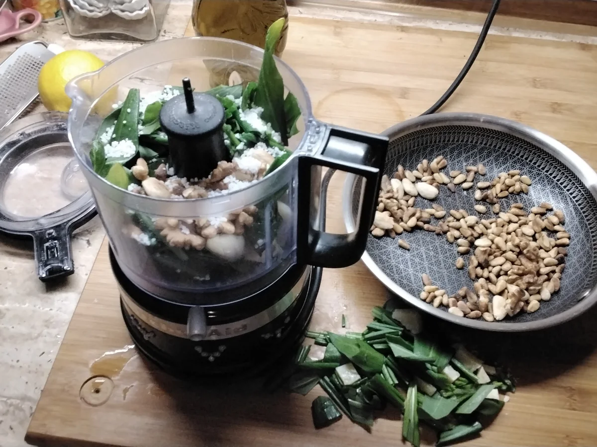 Rezept: Pesto mit Walnüssen und Mandeln Bild Nr. 17315 Pesto mit Walnüssen und Mandeln - Rezept - Bild Nr. 17315