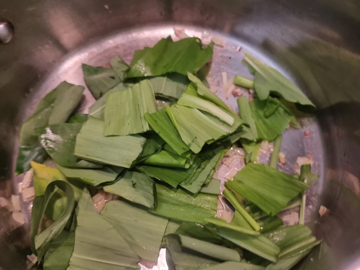 Rezept: Bärlauchsuppe Bild Nr. 17317 Bärlauchsuppe - Rezept - Bild Nr. 17317