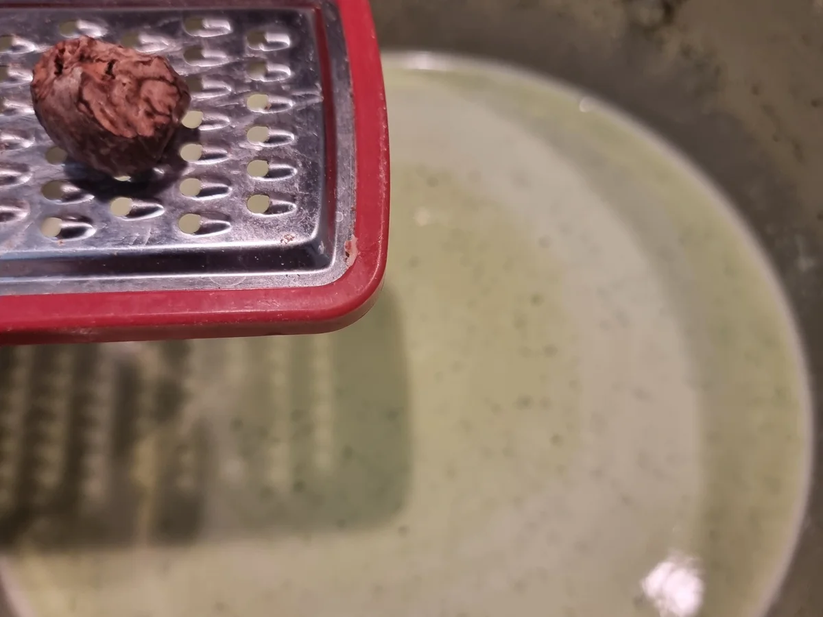 Rezept: Bärlauchsuppe Bild Nr. 17321 Bärlauchsuppe - Rezept - Bild Nr. 17321