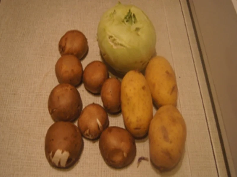 Knusper-Kohlrabi-Schnitzel mit Knoblauch-Rahm-Champignons und Kartoffelstampf - Rezept - Bild Nr. 17324