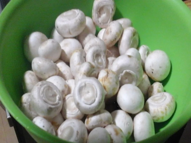 Rezept: Herzhafte Buletten mit Champignon-Rahmsauce, Butter-Möhren-Sticks und Drillingen Bild Nr. 17338 Herzhafte Buletten mit Champignon-Rahmsauce, Butter-Möhren-Sticks und Drillingen - Rezept - Bild Nr. 17338