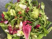 Hungerkünstler Salat - Rezept - Bild Nr. 2