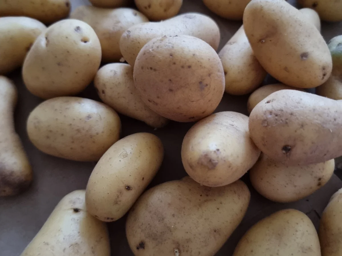 Spargel mit Zitronen-Butter-Sauce und Garnelen - Rezept - Bild Nr. 17331