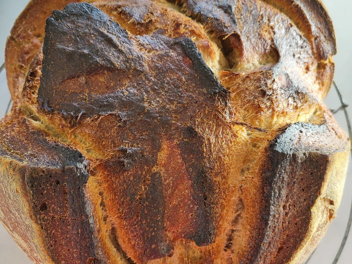 Besenbrot, doppelt gebacken - Rezept - Bild Nr. 17339