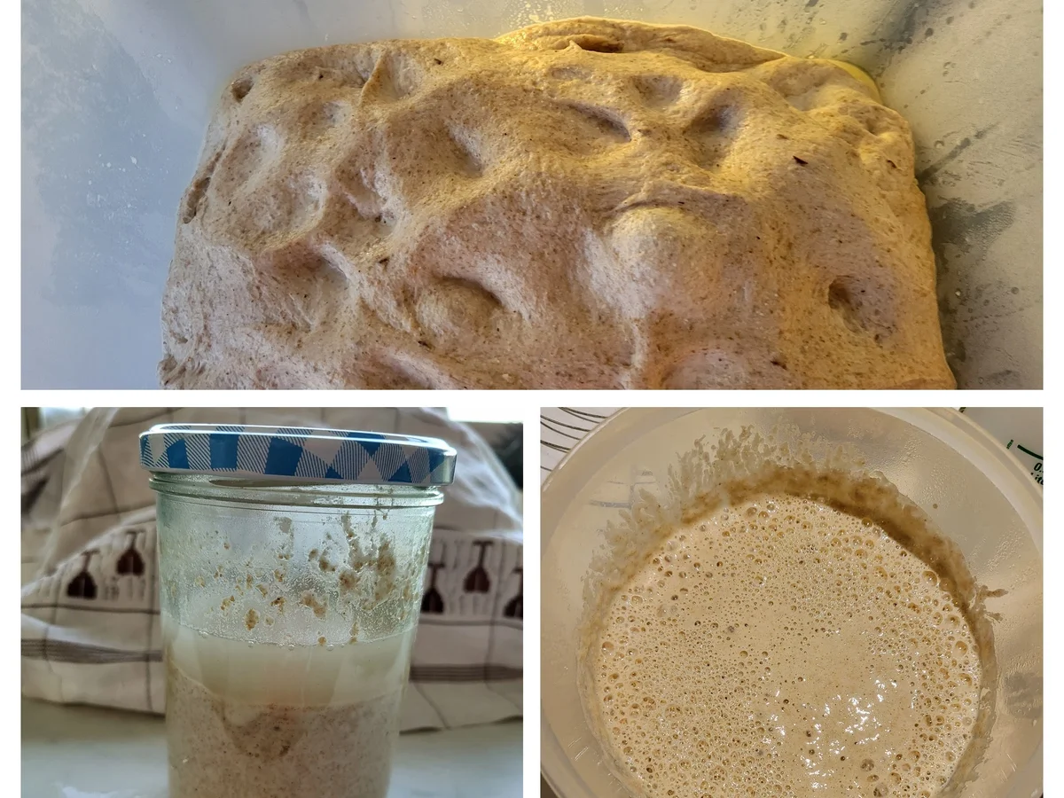 Besenbrot, doppelt gebacken - Rezept - Bild Nr. 17342