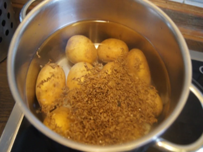 Rezept: Delikatess Bratheringsfilets mit Kümmel-Pellkartoffeln und Gewürzgurke Bild Nr. 17340 Delikatess Bratheringsfilets mit Kümmel-Pellkartoffeln und Gewürzgurke - Rezept - Bild Nr. 17340