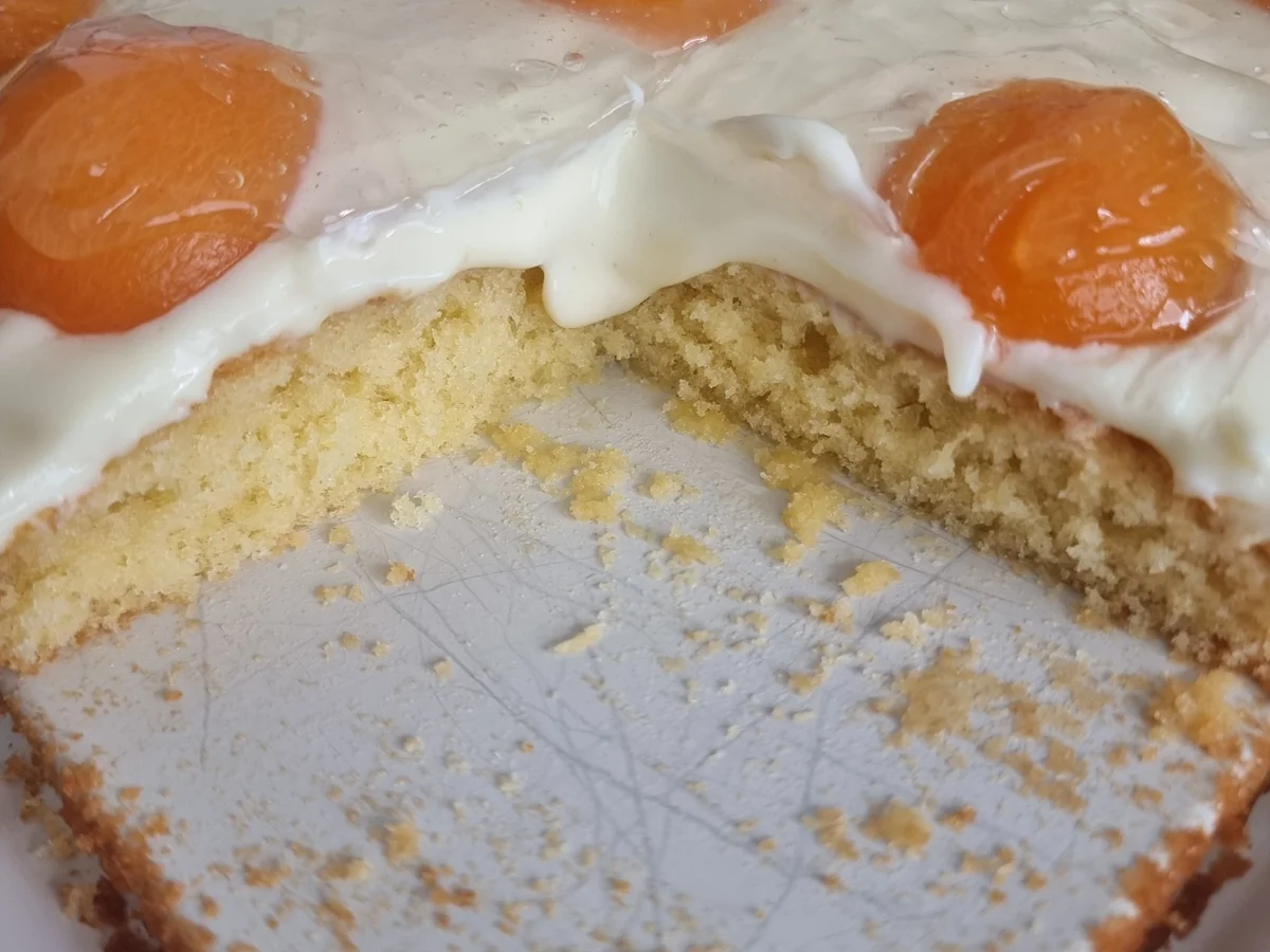 Spiegelei Kuchen - Rezept - Bild Nr. 17365