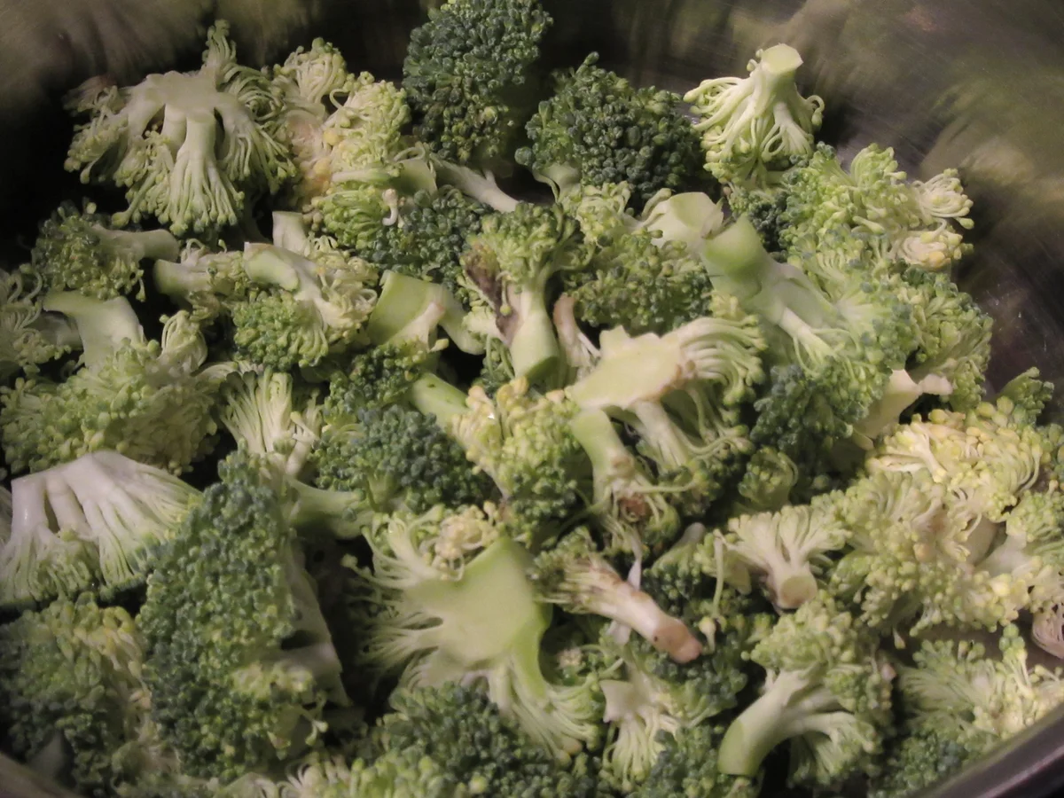 Rezept: Pasta: Gemüselasagne Bild Nr. 17357 Pasta: Gemüselasagne - Rezept - Bild Nr. 17357