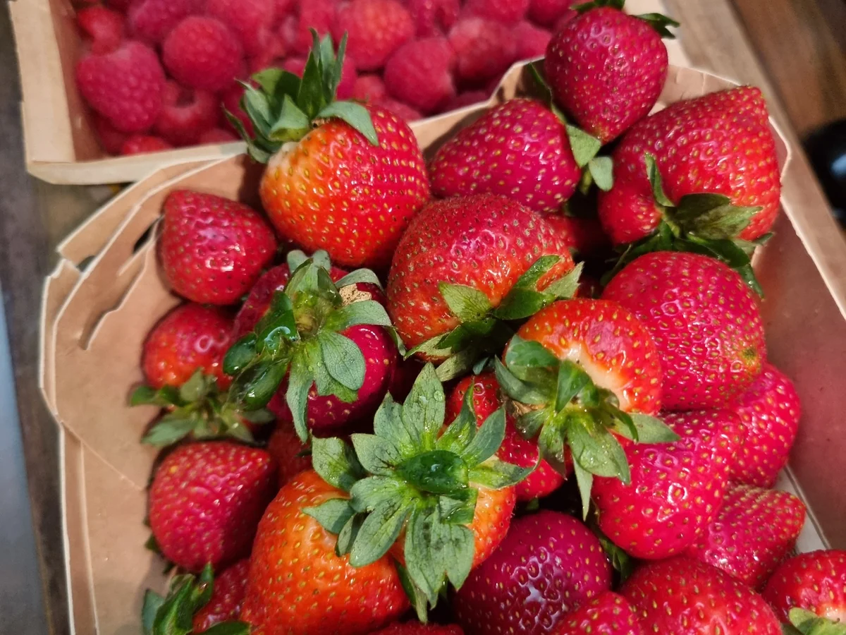 Erdbeer-Himbeer-Tiramisu - Rezept - Bild Nr. 17359