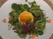 Rezept: Lachs Timbale auf Salat mit Himbeeressigkaviar und Hippe Bild Nr. 17370 Lachs Timbale auf Salat mit Himbeeressigkaviar und Hippe - Rezept - Bild Nr. 17370