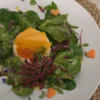 Lachs Timbale auf Salat mit Himbeeressigkaviar und Hippe - Rezept - Bild Nr. 17370