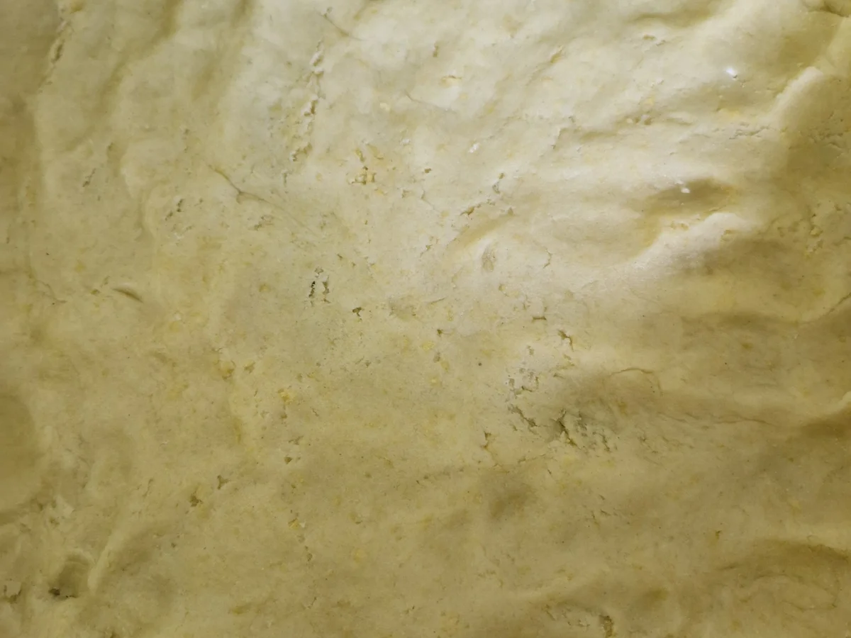 Rhabarberkuchen mit Streuseln und Pudding - Rezept - Bild Nr. 17371