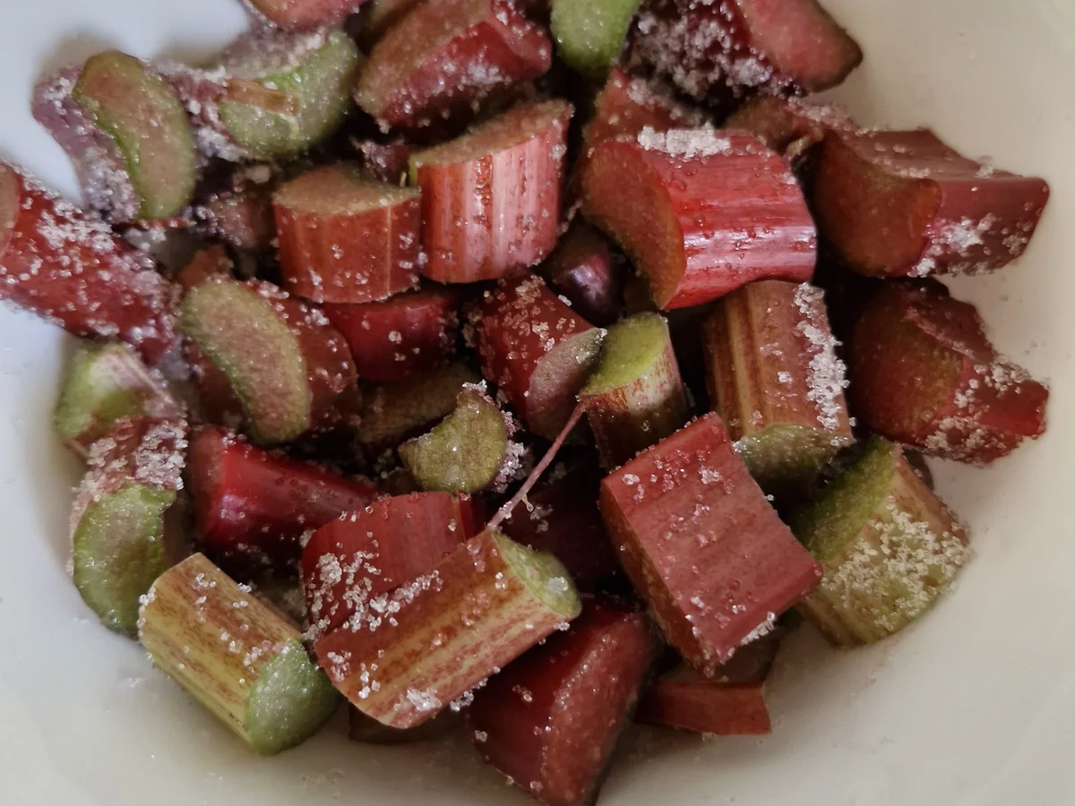 Rhabarberkuchen mit Streuseln und Pudding - Rezept - Bild Nr. 17372