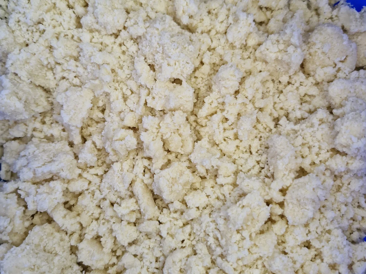 Rhabarberkuchen mit Streuseln und Pudding - Rezept - Bild Nr. 17374