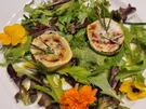 Gratinierter Ziegenkäse auf Wildkräutersalat - Rezept - Bild Nr. 17370