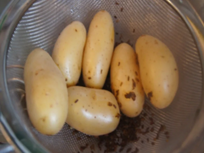 Schlemmerfilet mit Rahm-Kohlrabi und Kümmel-Pellkartoffeln - Rezept - Bild Nr. 9